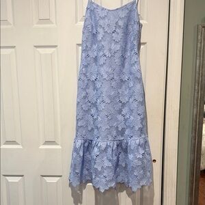Banana Republic Light Blue Lace Midi Skirt
